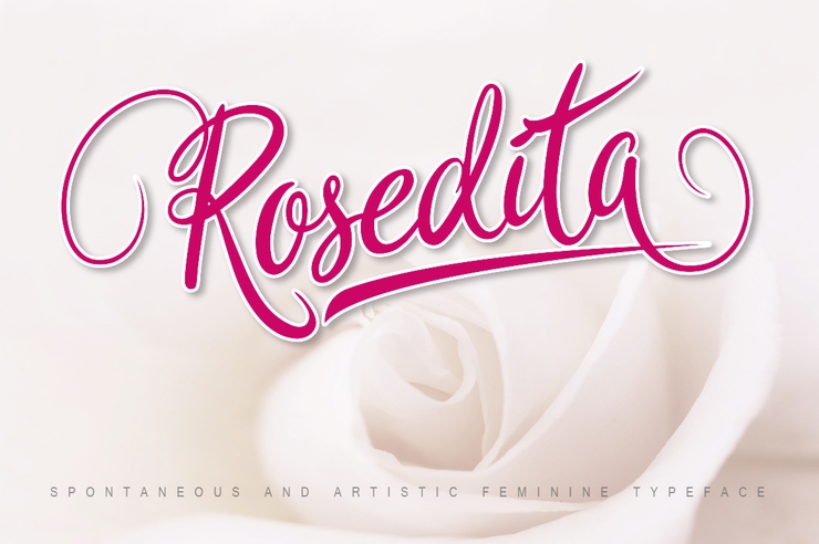 Rosedita字体 1