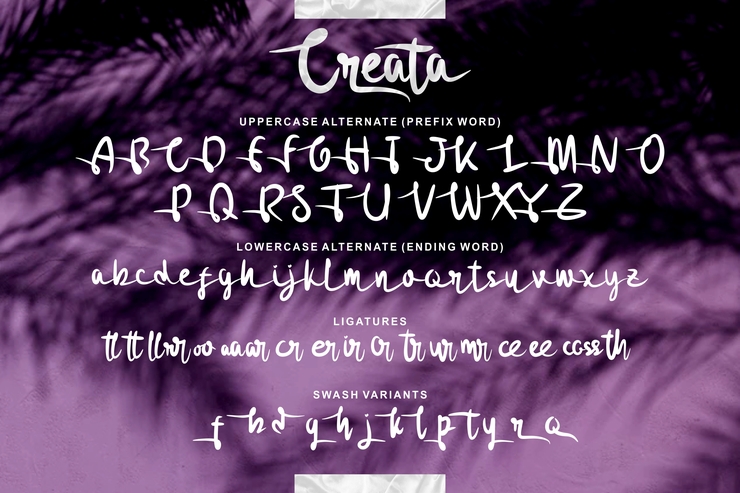Creata字体 3
