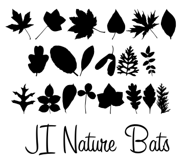 JI Nature Bats字体 1