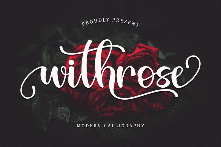 Withrose字体 1