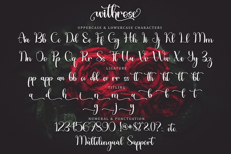 Withrose字体 8