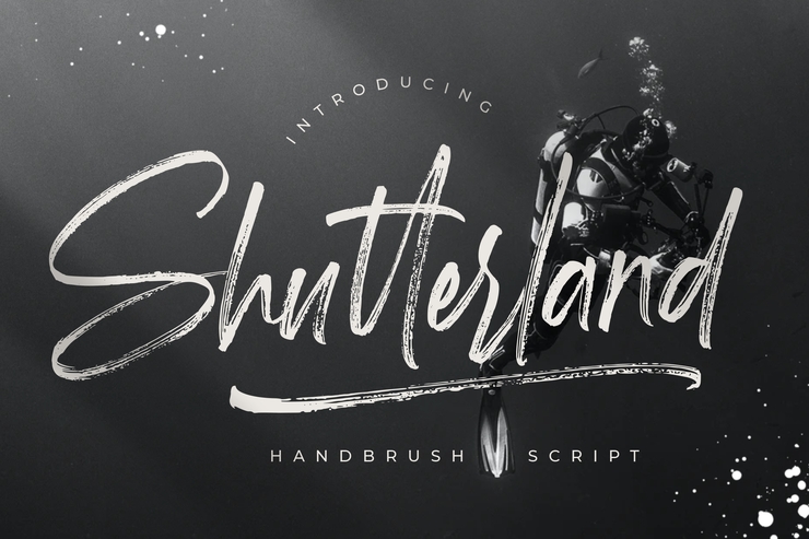 Shutterland Swashes字体 6