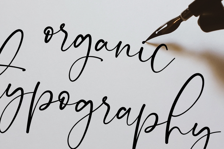 Onesty Signature字体 1
