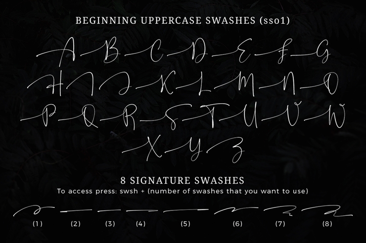 Onesty Signature字体 8