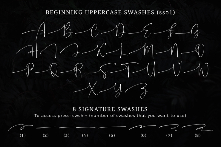 Onesty Signature字体 8
