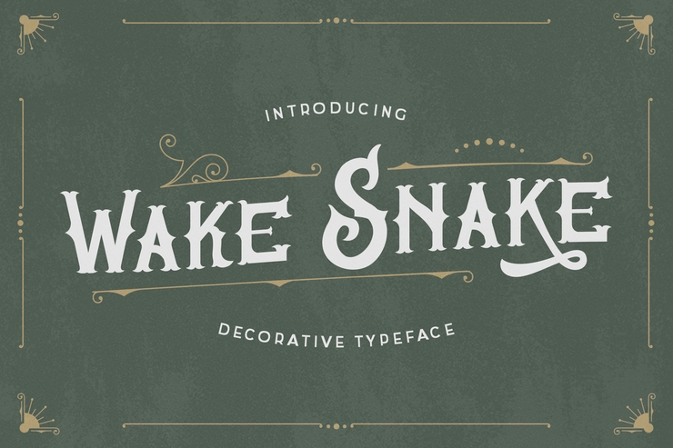 Wake Snake字体 4