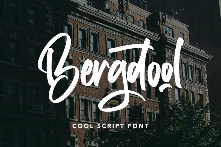 Bergdool字体 2