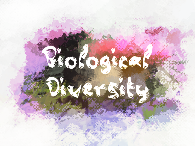 b Biological Diversity字体 1