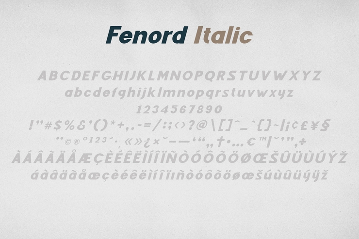 Fenord字体 2