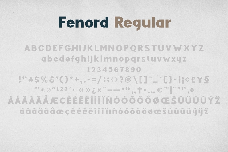 Fenord字体 4