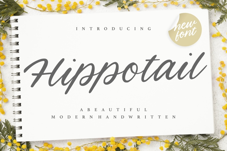 Hippotail字体 1