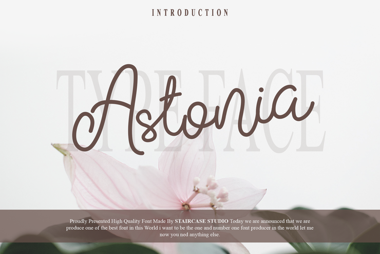 Astonia字体 1