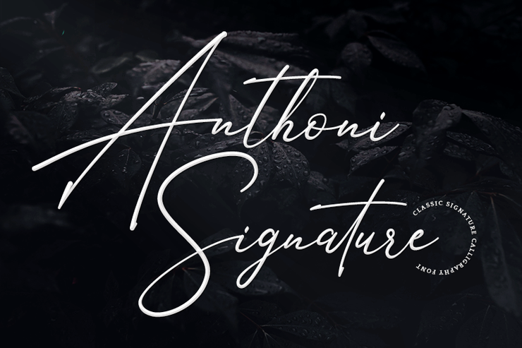 Anthoni Signature字体 1