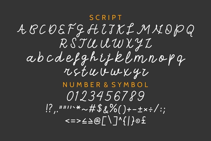 Vlorens Flower字体 3