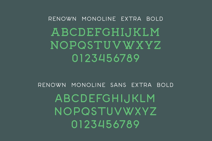 Renown Monoline字体 5