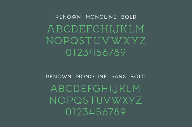 Renown Monoline字体 6