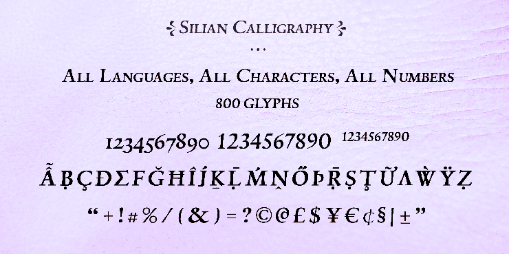 Silian Calligraphy字体 6