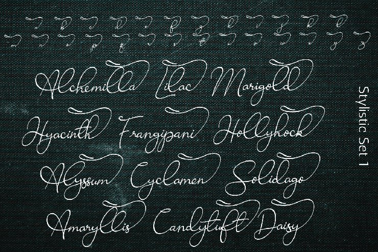 Ravishing Solidago字体 3