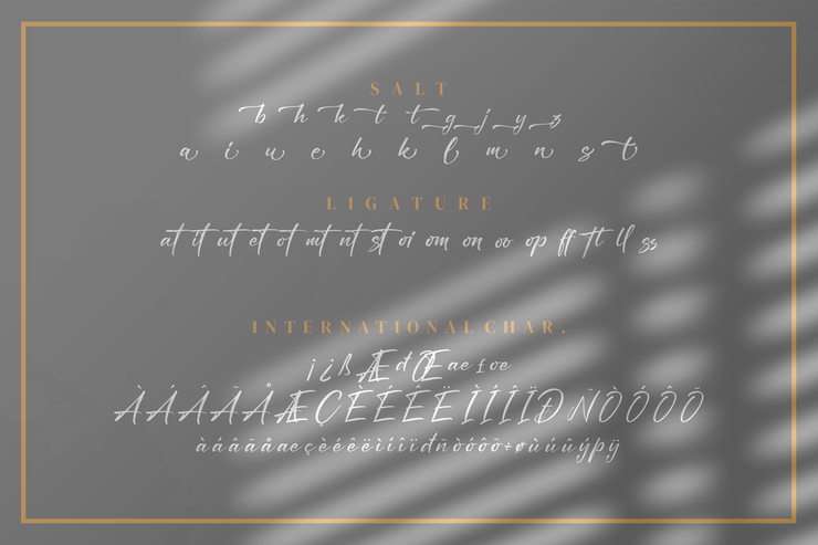 Aoutoory Dragon字体 5