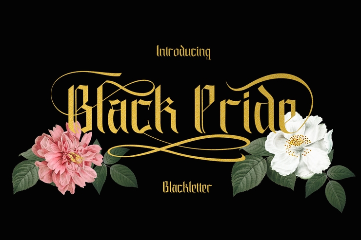 black pride字体 2