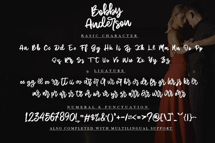 Bobby Anderson -字体 7