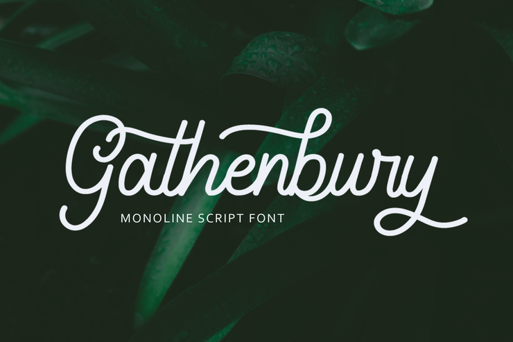 Gathenbury Monoline Script字体 1