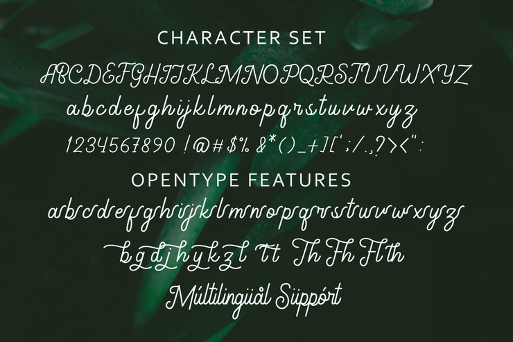 Gathenbury Monoline Script字体 7