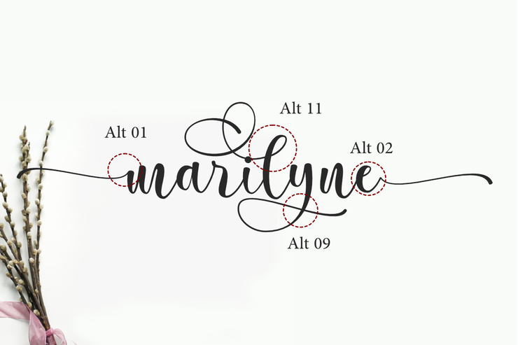 Marilyne字体 2
