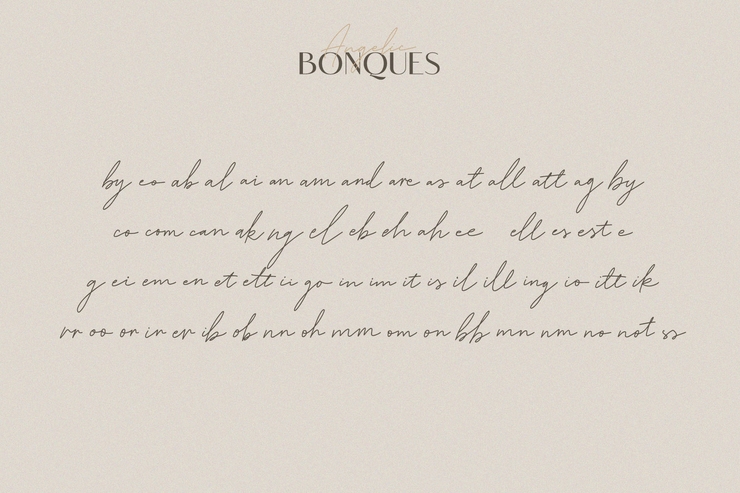 Angelic Bonques字体 2