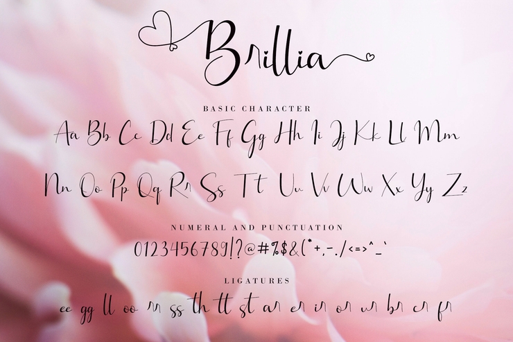 Brillia Calligraphy字体 7