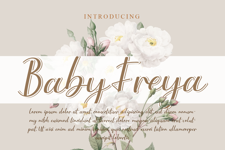 Baby Freya字体 1