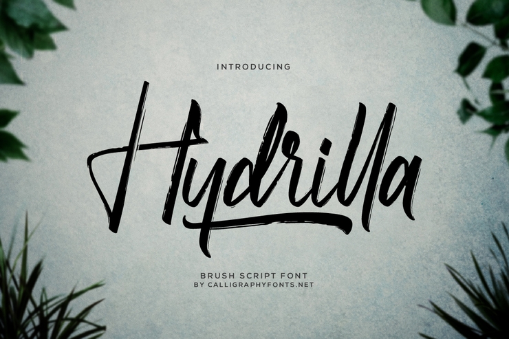 Hydrilla字体 1