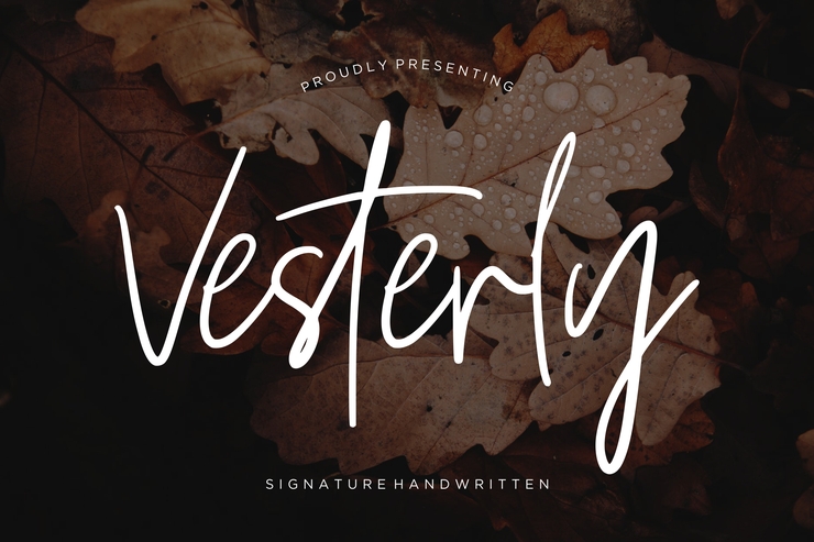 Vesterly字体 2