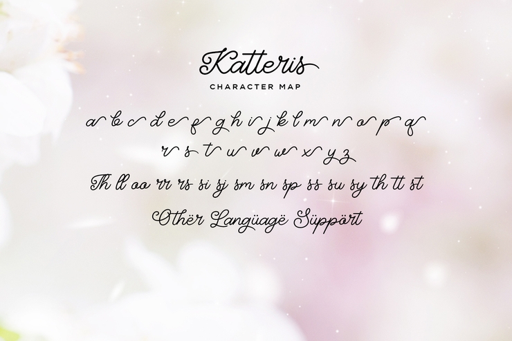 Katteris - Monoline Calligraphy字体 5