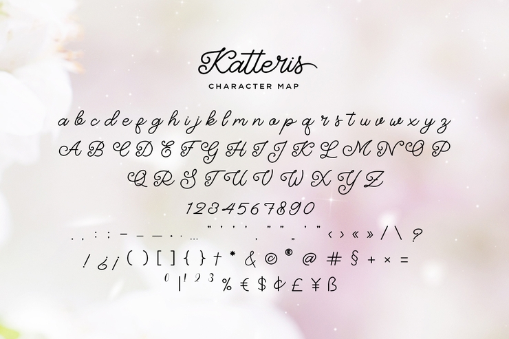 Katteris - Monoline Calligraphy字体 7