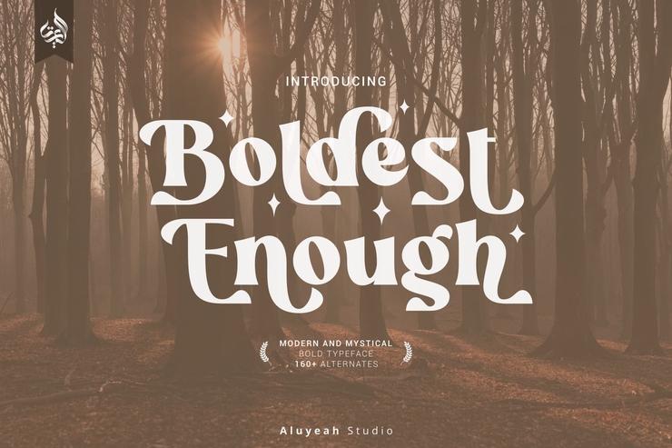 Boldest Enough字体 8