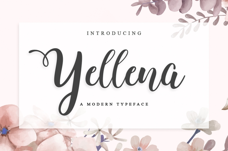 Yellena字体 1