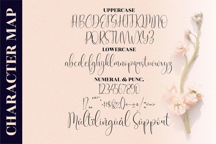 Cattya Brown字体 5