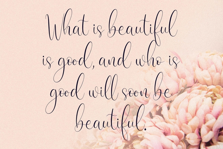 Cattya Brown字体 8