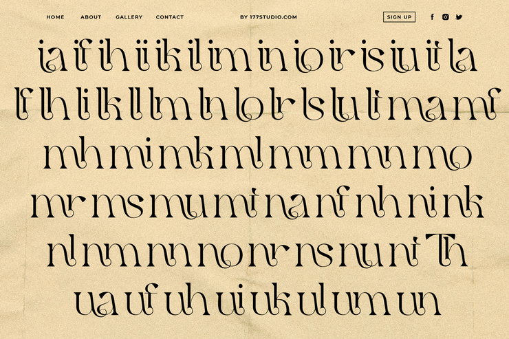 Qaitan Serif字体 4