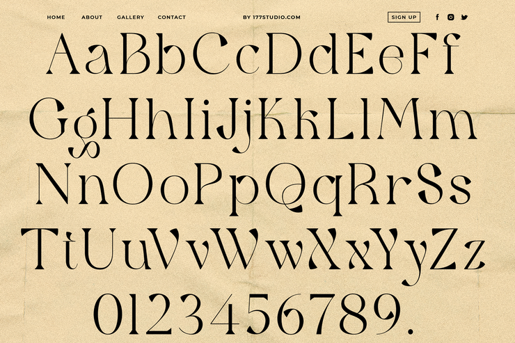 Qaitan Serif字体 8