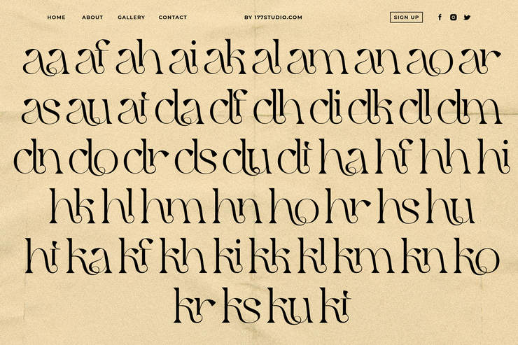 Qaitan Serif字体 9