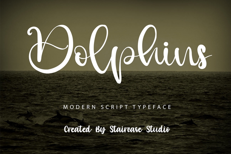 Dolphins字体 1