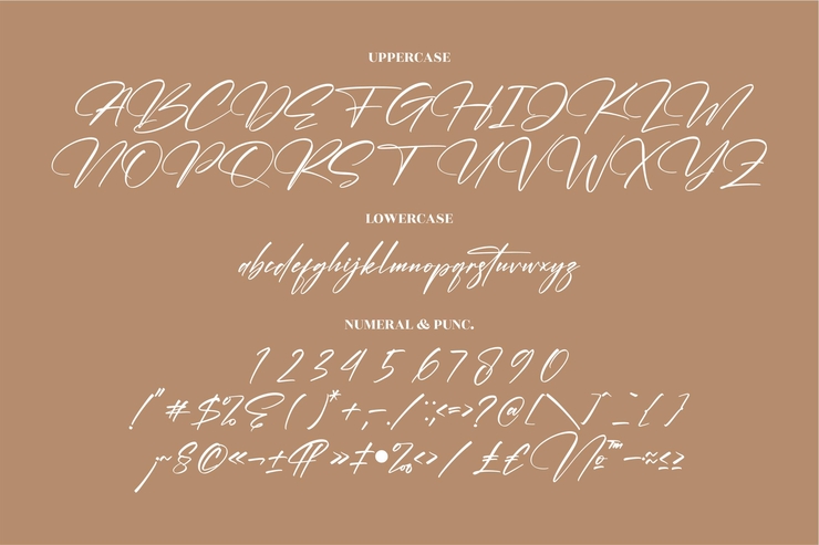 Cantika Beauty字体 9