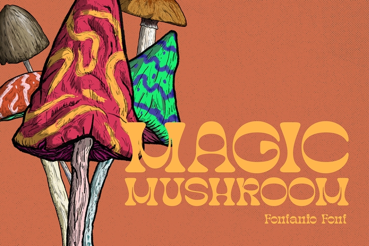 Fontanio Black字体 1