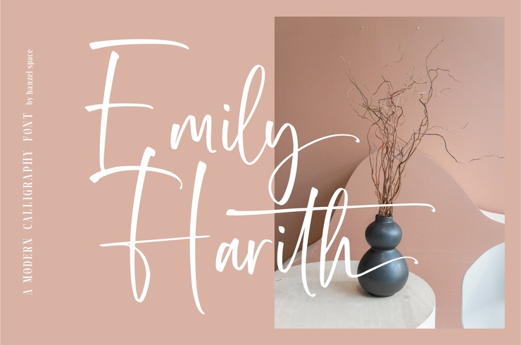 Rothary Modern Calligraphy字体 4