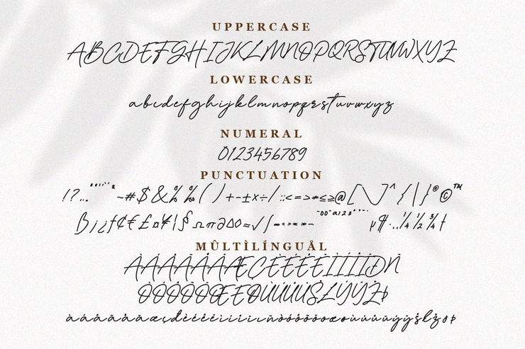Dellynda字体 2