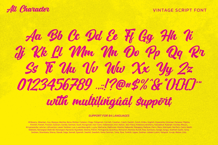 Vintage Scripter字体 1