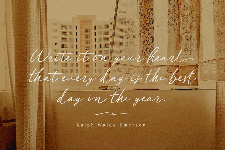 Forttuna Regular字体 2