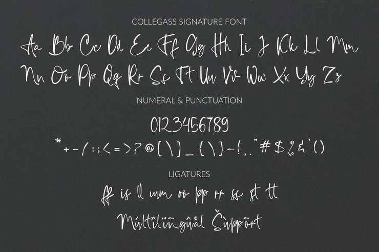 Collegass Signature字体 10